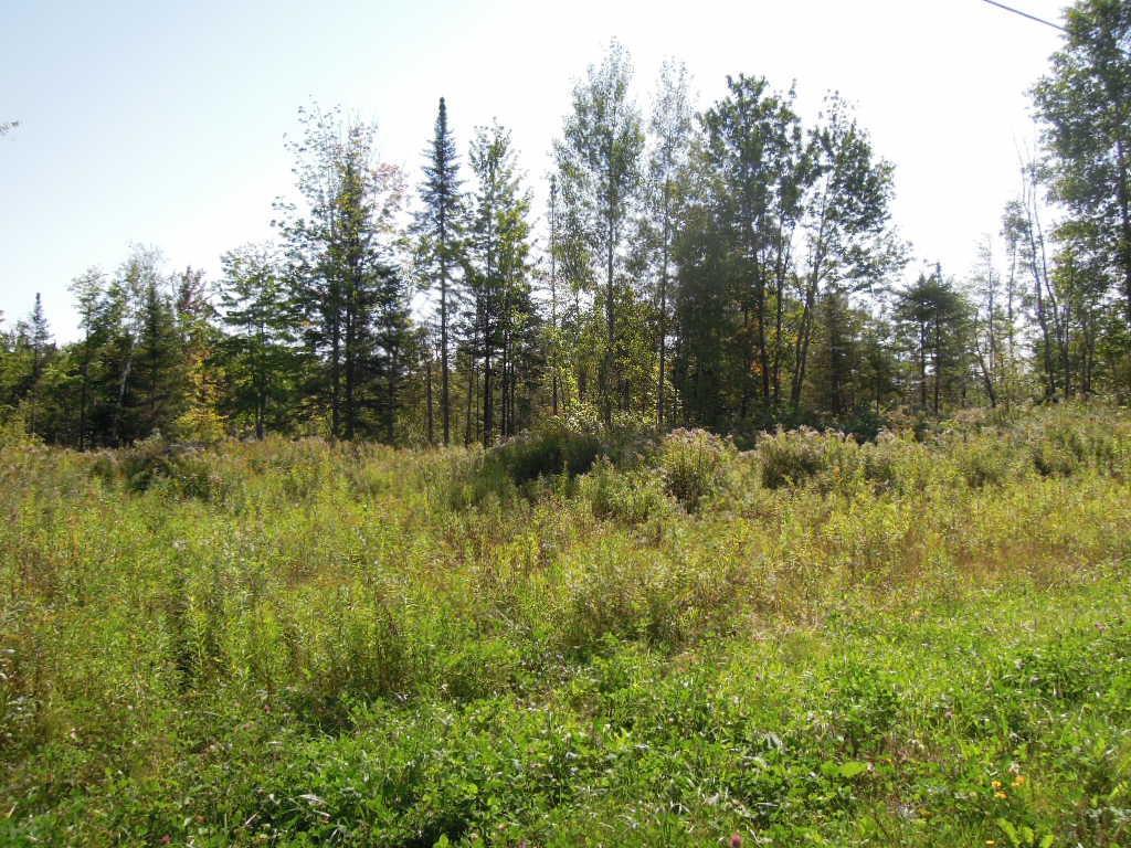 Lot 1 Bowles Road Caribou, ME 04736 - Photo 2 of 5 Photo
