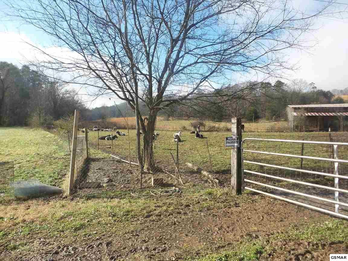0 Dalton Road New Market, TN 37820 - Photo 11 of 27 Gallery Image 11