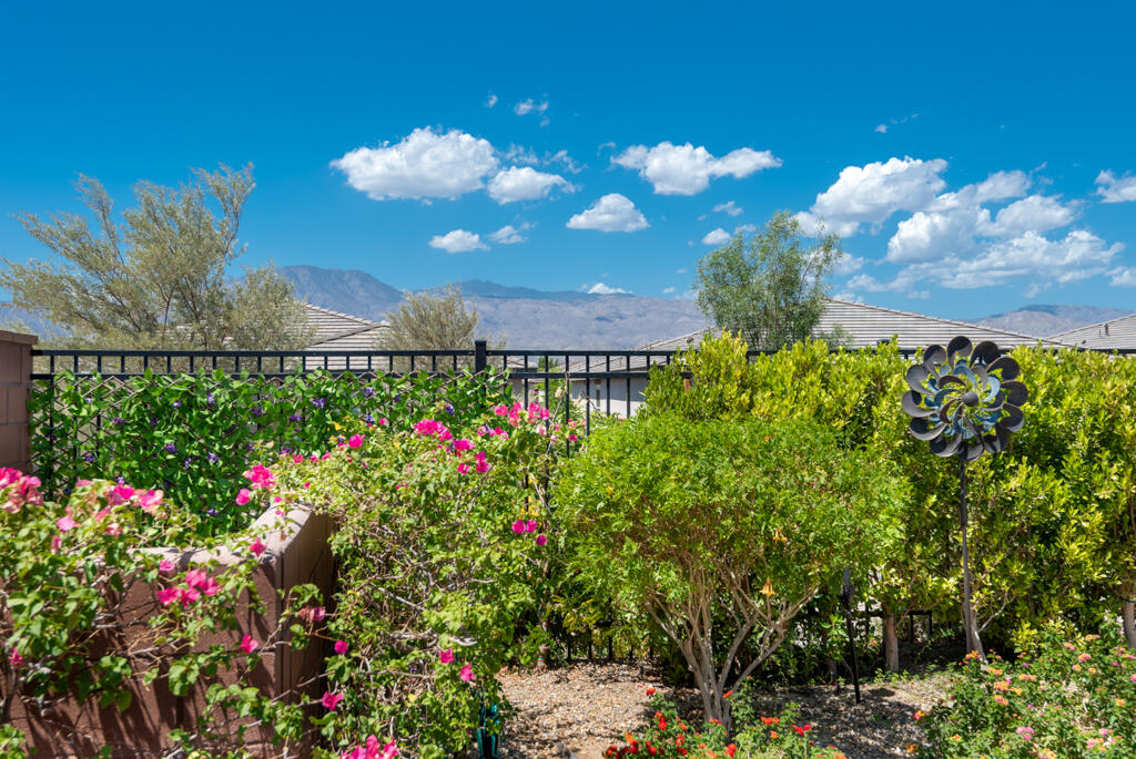 50715 Monterey Cyn Drive Indio, CA 92201 - Photo 32 of 43 a view of a flower in a garden
