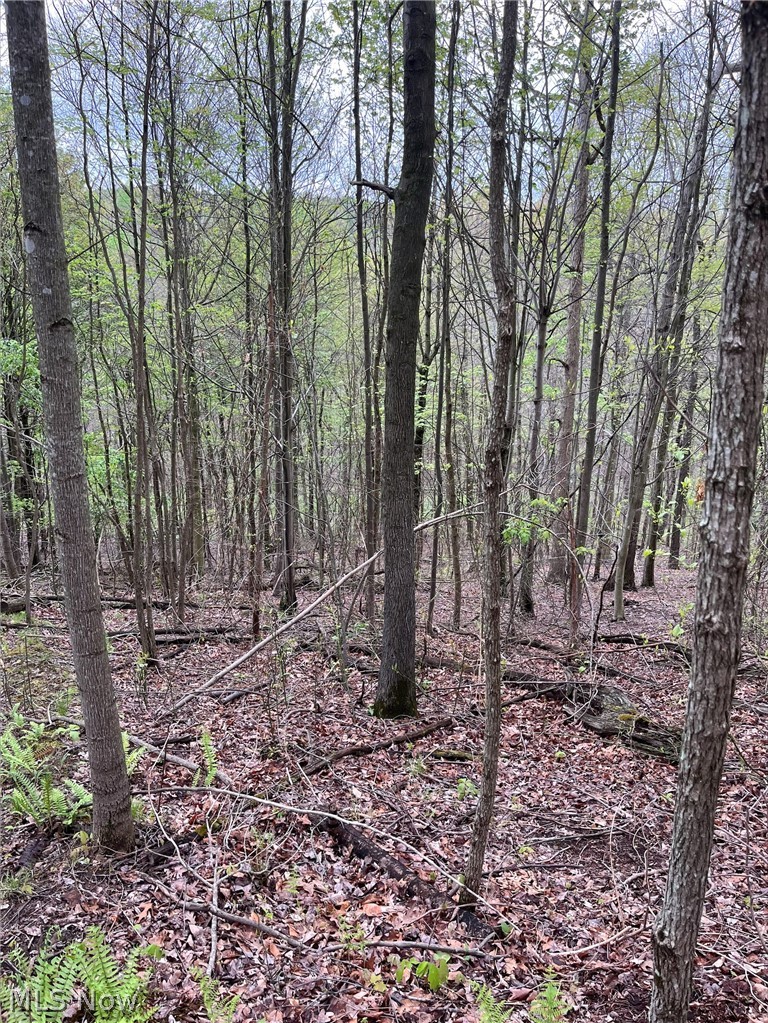 Sandy Ridge Road Tippecanoe, OH 44699 - Photo 8 of 21