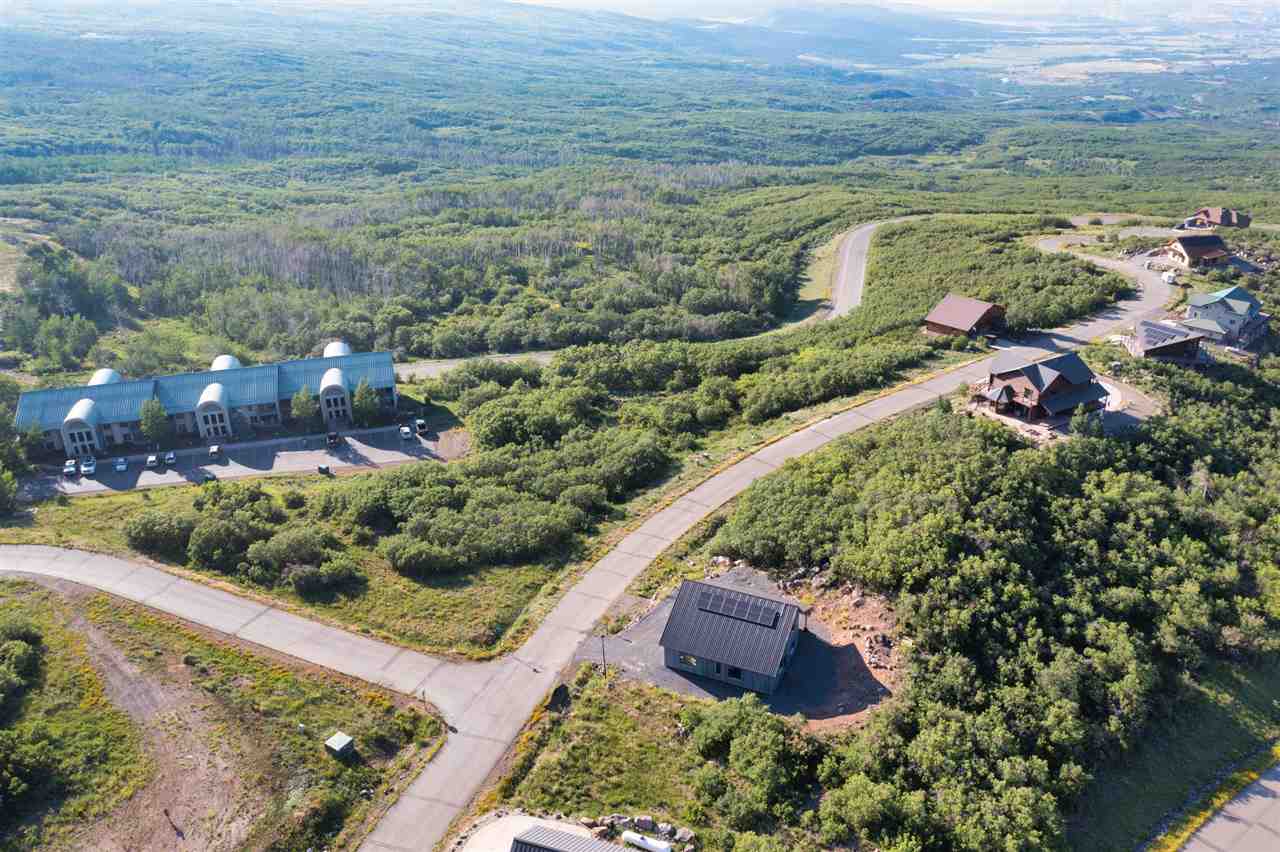 408 Coyote Run Mesa, CO 81643 - Photo 32 of 35 a view of a garden with an outdoor space