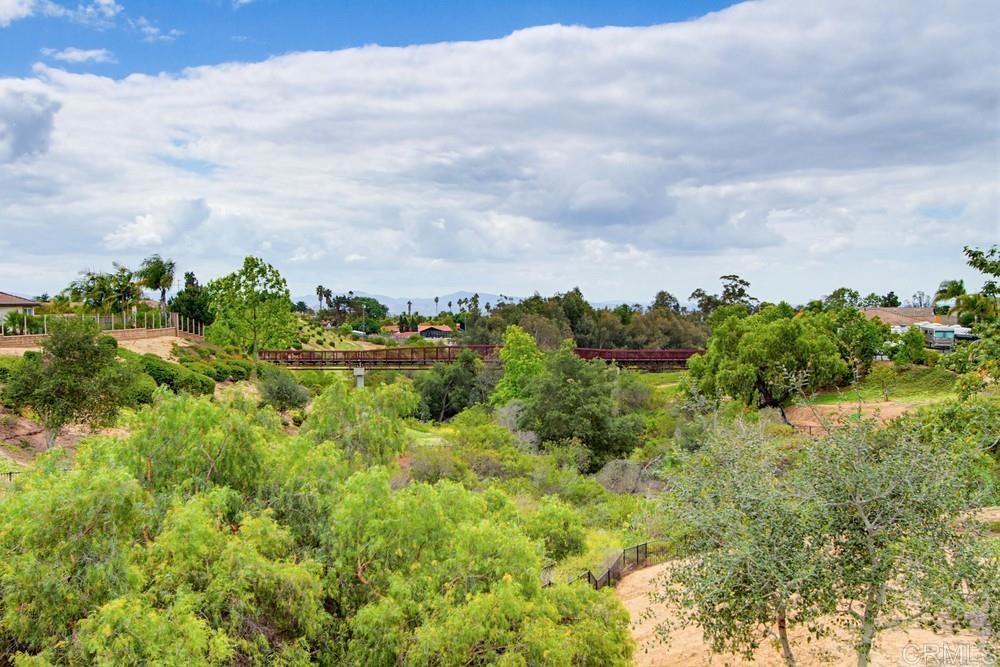 352 Tom McGuinness Jr Circle Fallbrook, CA 92028 - Photo 57 of 65