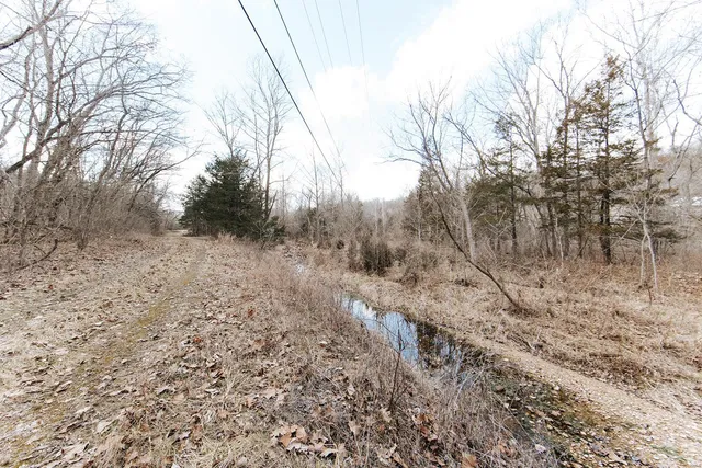 $168,000 | 0 52 /- Acres County Road 7570, Newburg, MO 65550