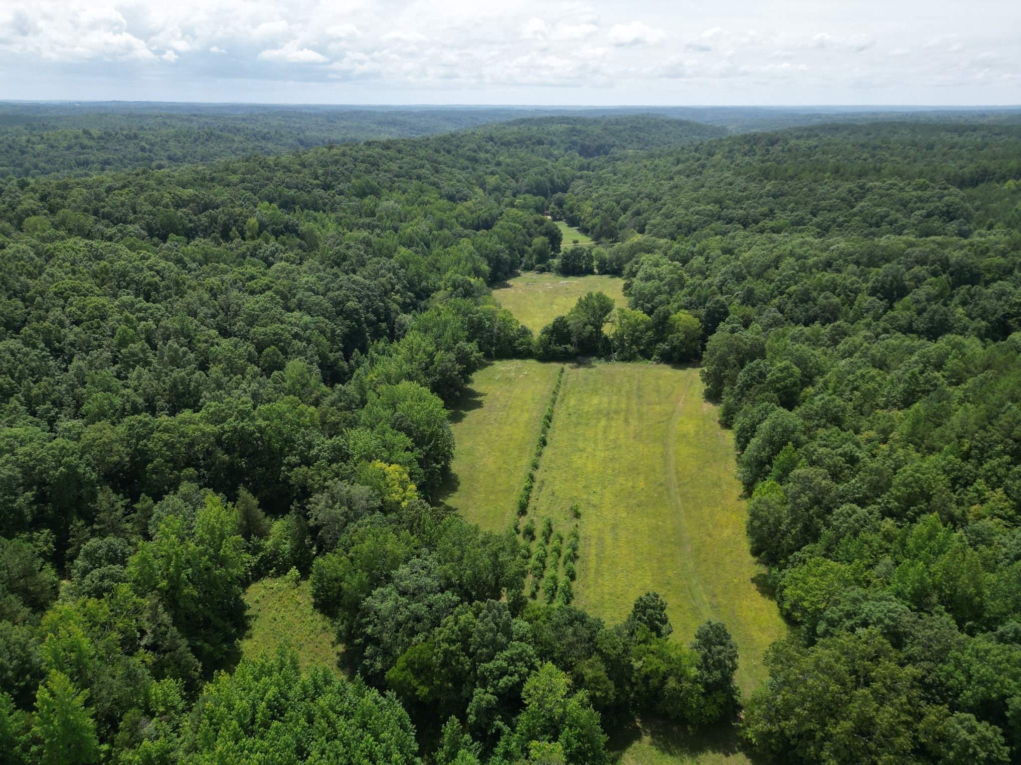 A Carter Hollow Road Linden, TN 37096 - Photo 3 of 4 Gallery Image 3