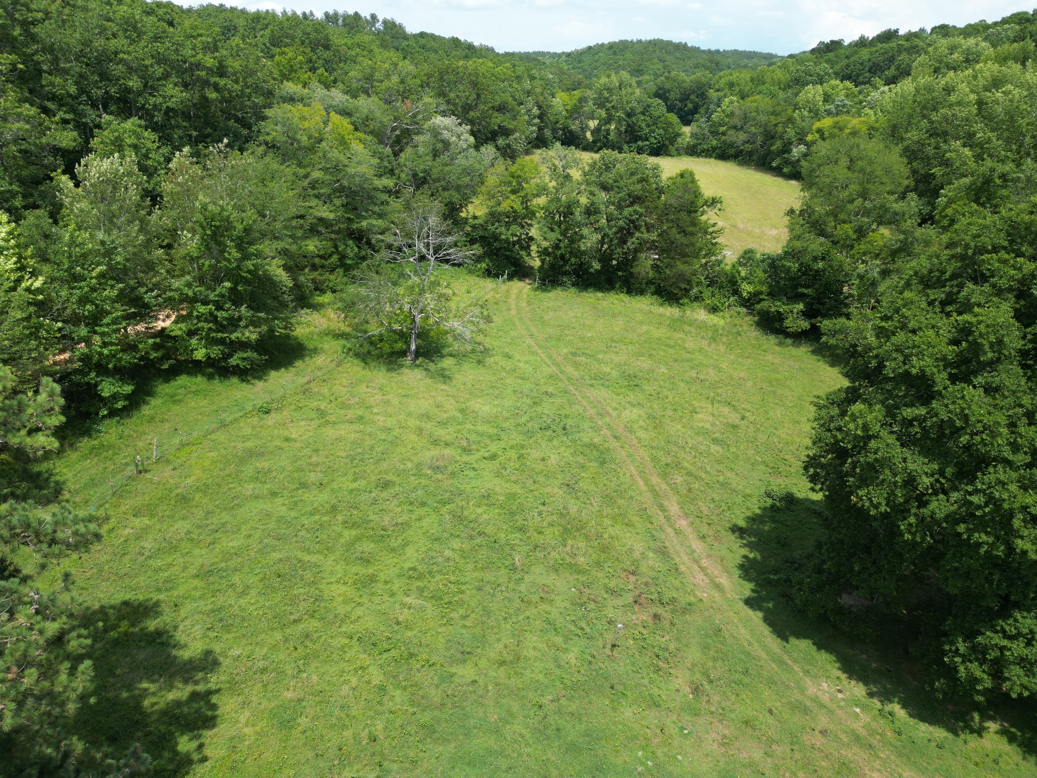 A Carter Hollow Road Linden, TN 37096 - Photo 4 of 4 Gallery Image 4