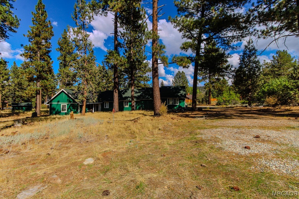 1197 Mitchell Lane Big Bear City, CA 92386 - Photo 31 of 32 a view of road with large trees