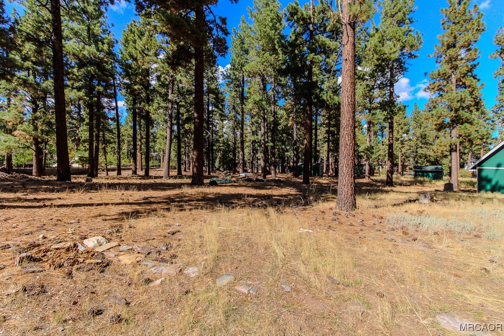 1197 Mitchell Lane Big Bear City, CA 92386 - Photo 32 of 32 a view of road with trees