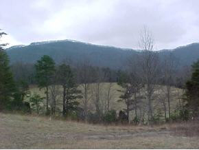 265 Tweed Springs Road Greeneville, TN 37743 - Photo 6 of 8 Photo 6