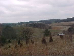 265 Tweed Springs Road Greeneville, TN 37743 - Photo 8 of 8 Photo 8