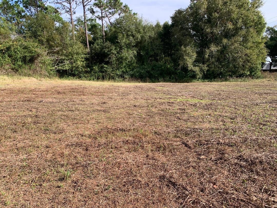 12536 South Perdido Street Lillian, AL 36549 - Photo 1 of 1
