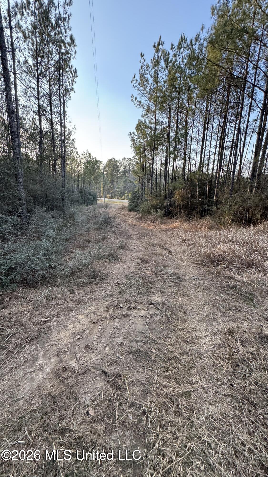 42 Mississippi State Line, MS 39362 - Photo 38 of 87 Photo Feb 13 2026, 4 51 37 PM