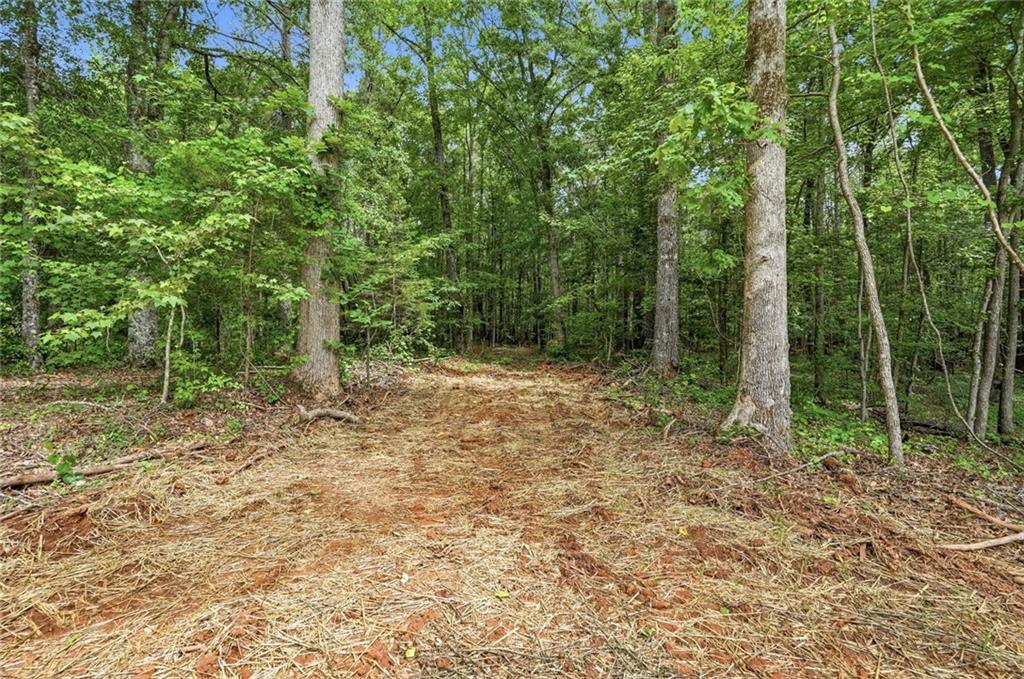 4013 Jersey Covington Road Covington, GA 30014 - Photo 85 of 90