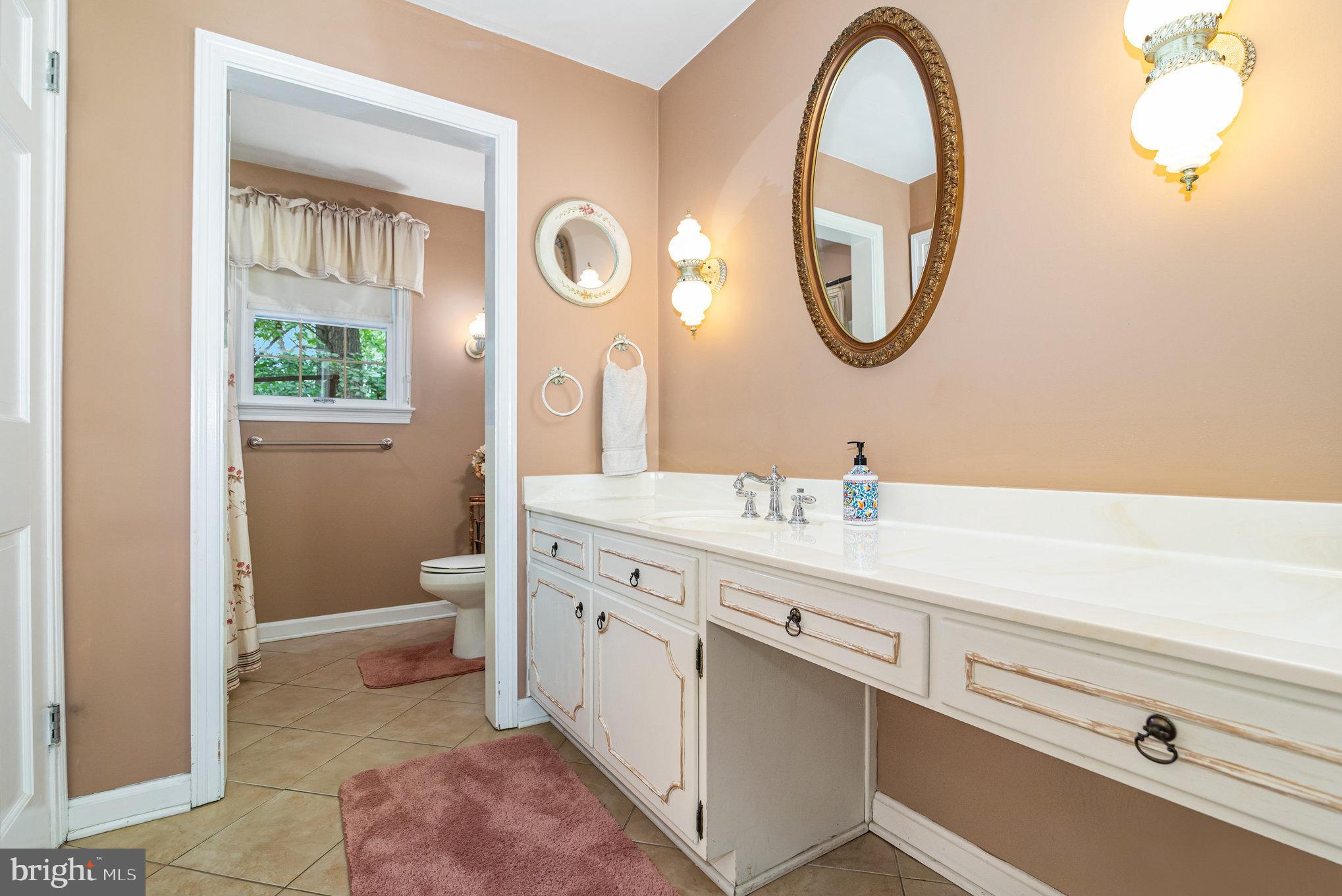 2221 Mockingbird Road Harrisburg, PA 17112 - Photo 17 of 35 a spacious bathroom with a toilet a sink and a mirror