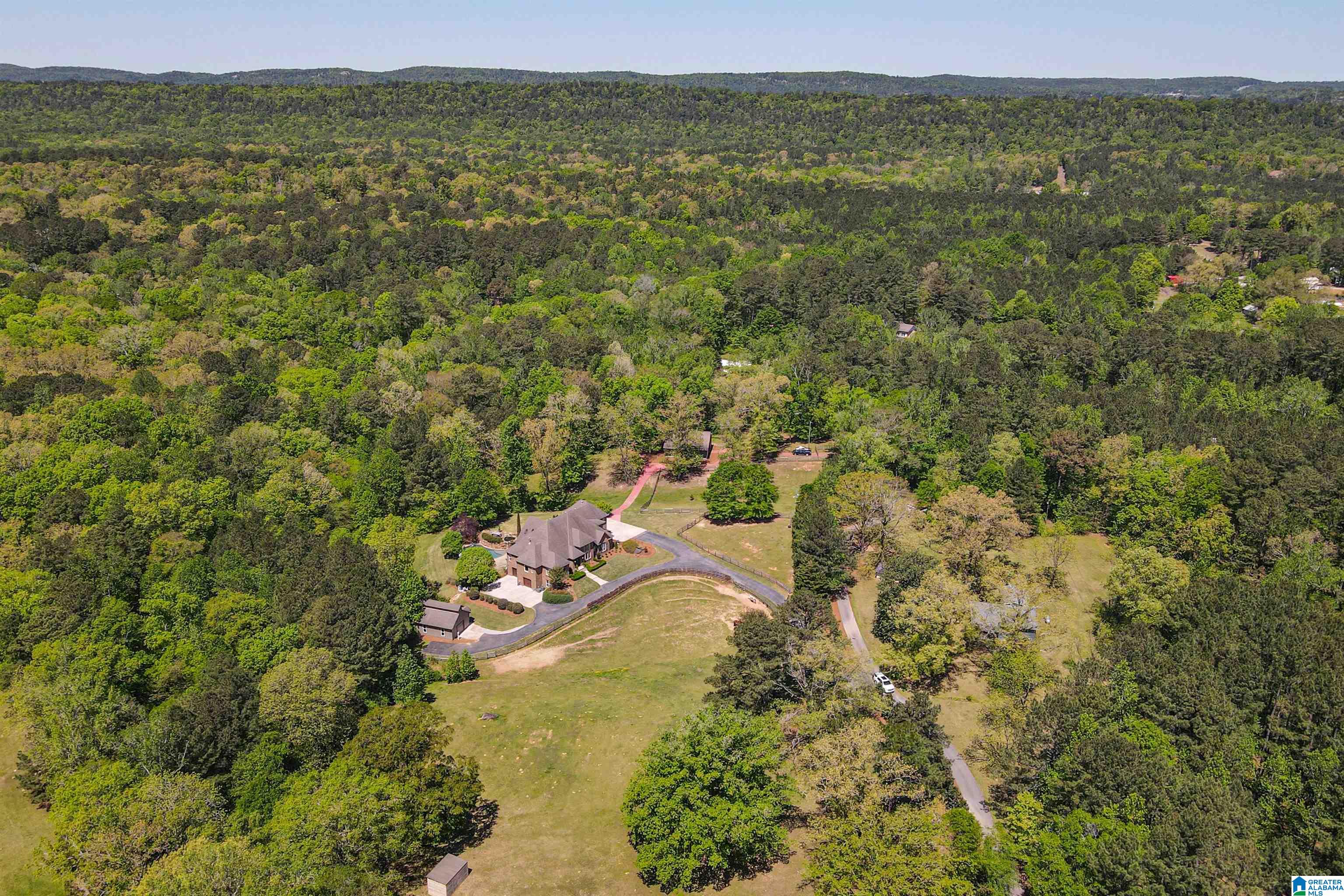 135 Wilson Road Chelsea, AL 35043 - Photo 68 of 75