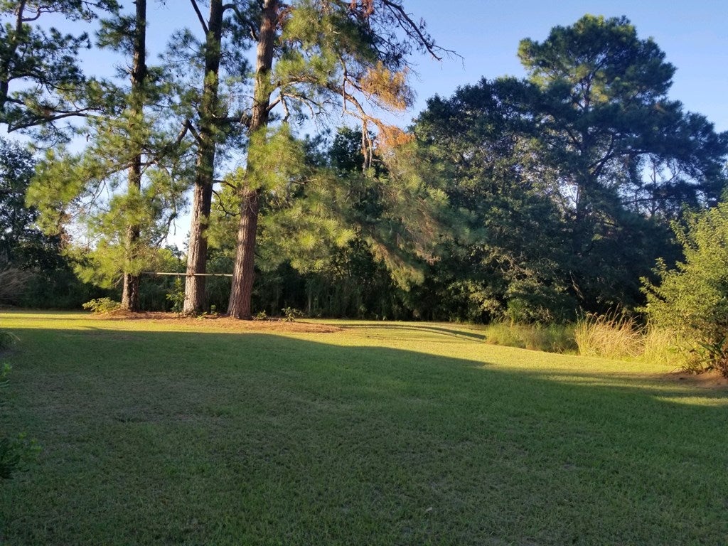 810 Homer James Road Lenox, GA 31637 - Photo 2 of 10 Gallery Image 2