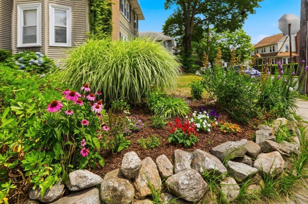72-74 Parmenter Road, Unit 2 Waltham, MA 02453 - Photo 34 of 38