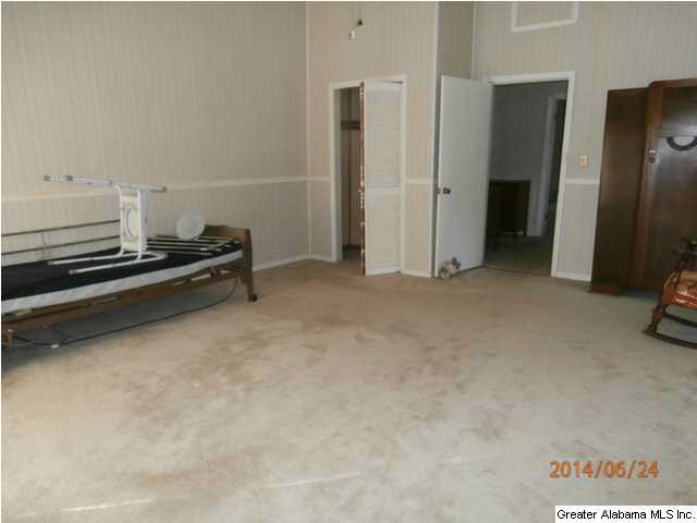 5035 Warrior Jasper Road Dora, AL 35062 - Photo 11 of 23