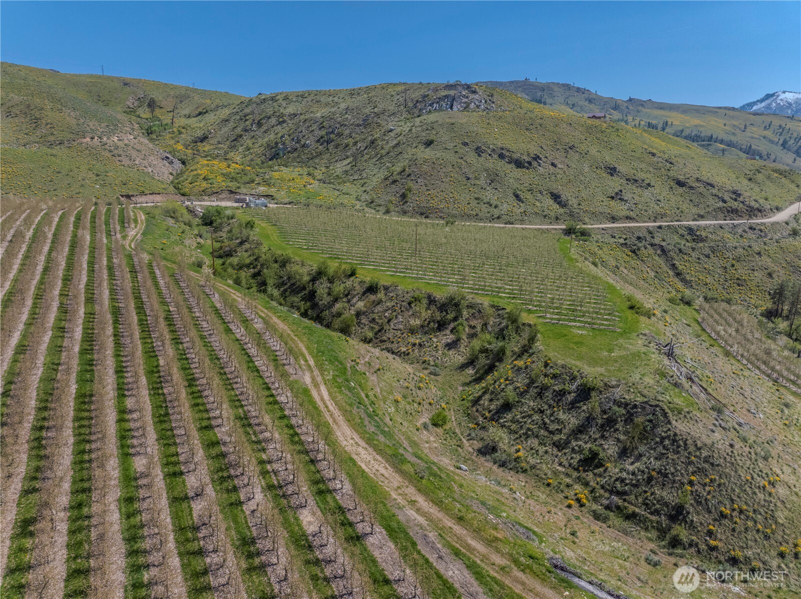 251 Burma Road Methow, WA 98834 - Photo 17 of 17