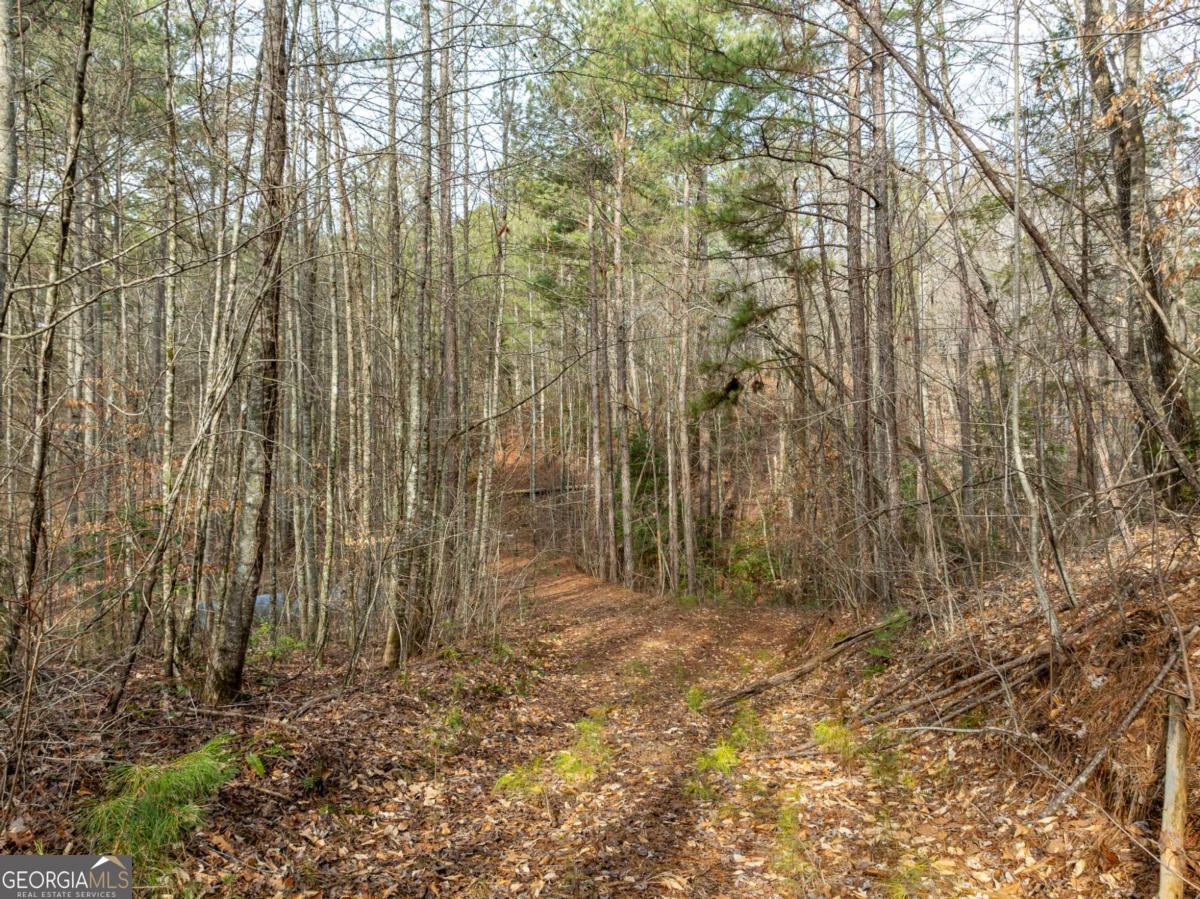 Lot 127 Red Hawk Lane Ellijay, GA 30540 - Photo 11 of 35 a view of room with trees