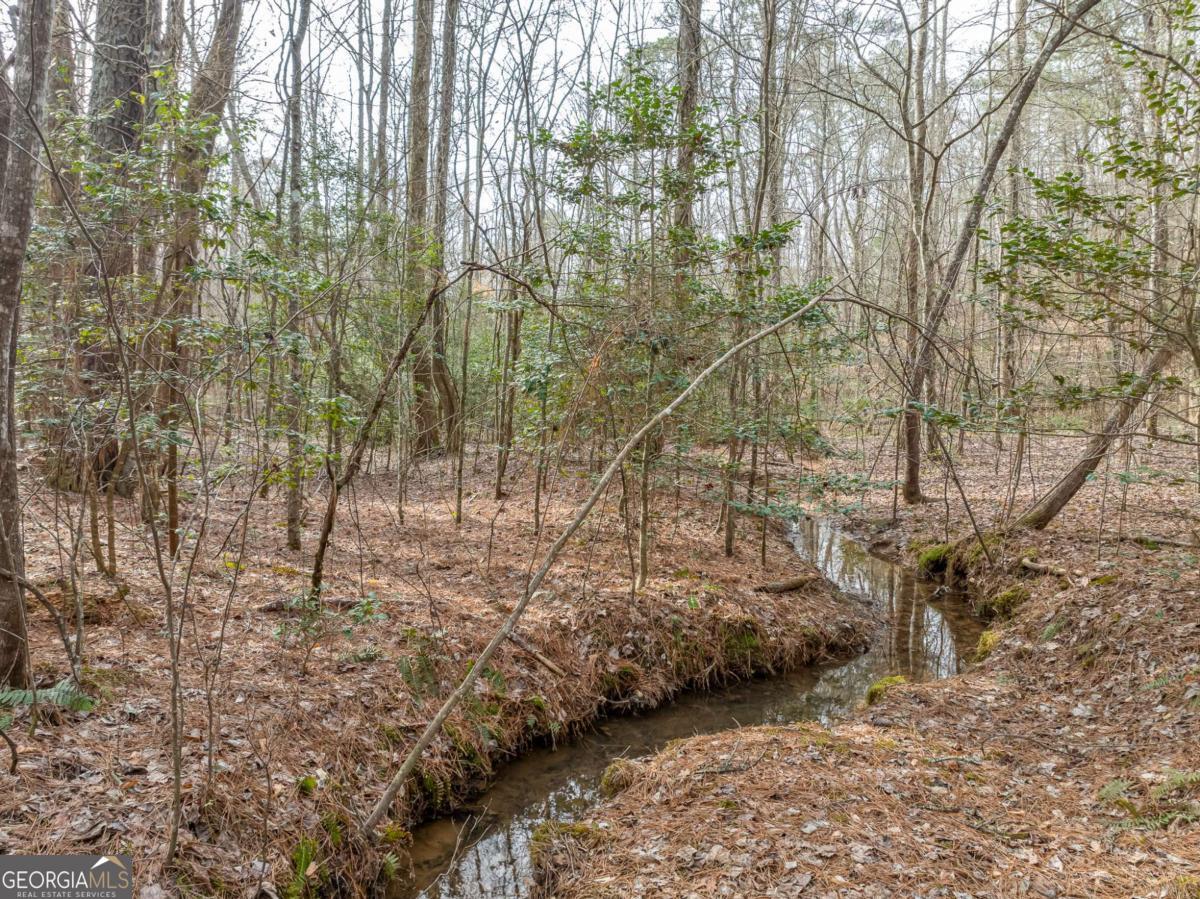 Lot 127 Red Hawk Lane Ellijay, GA 30540 - Photo 12 of 35 a view of a yard with large trees