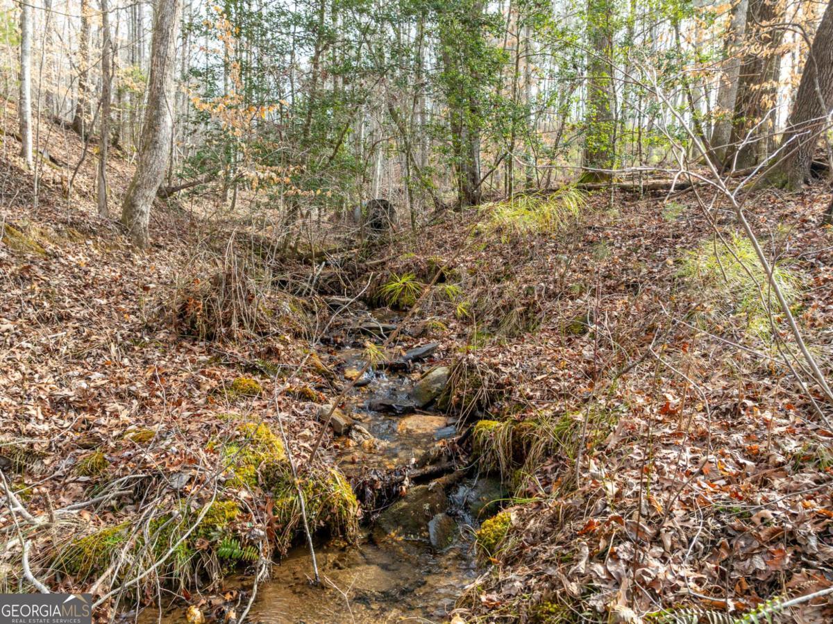 Lot 127 Red Hawk Lane Ellijay, GA 30540 - Photo 13 of 35 a view of yard