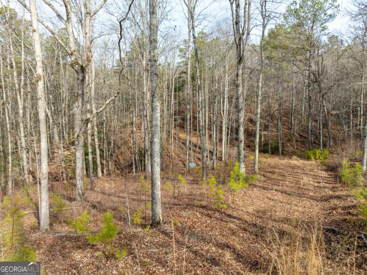 Lot 127 Red Hawk Lane Ellijay, GA 30540 - Photo 14 of 35 a view of under construction area