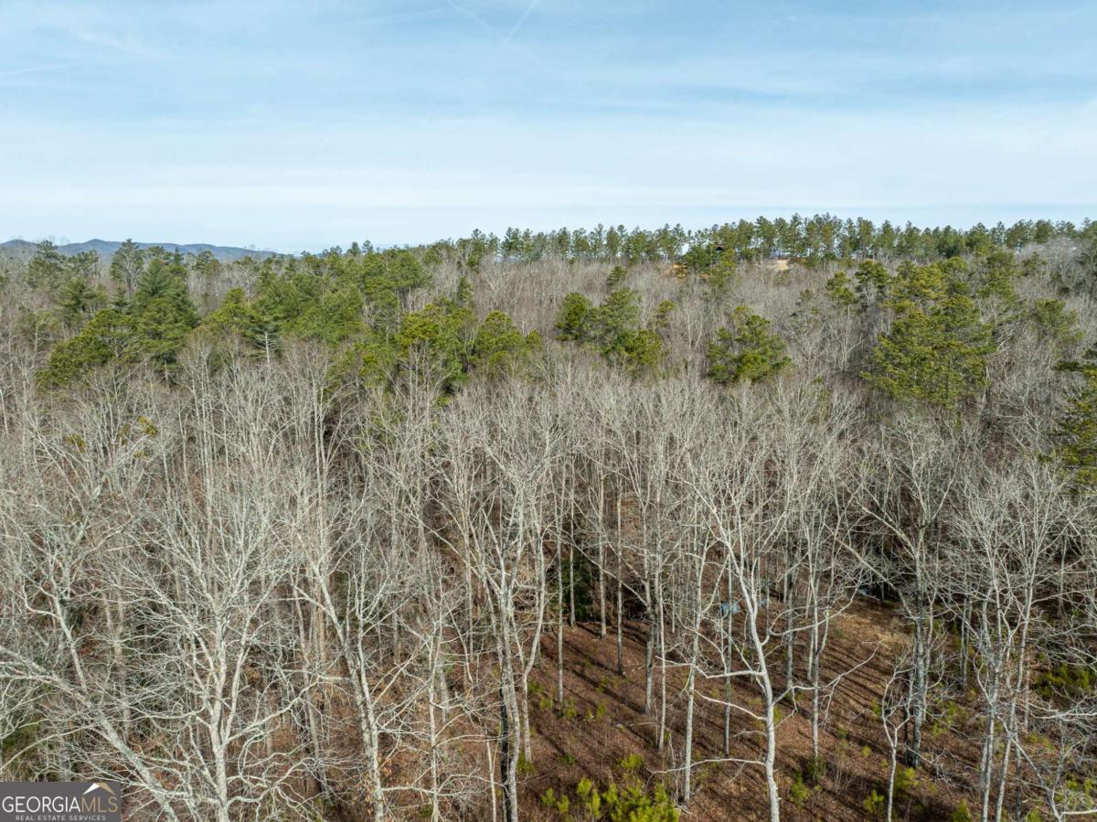 Lot 127 Red Hawk Lane Ellijay, GA 30540 - Photo 15 of 35 a view of a city