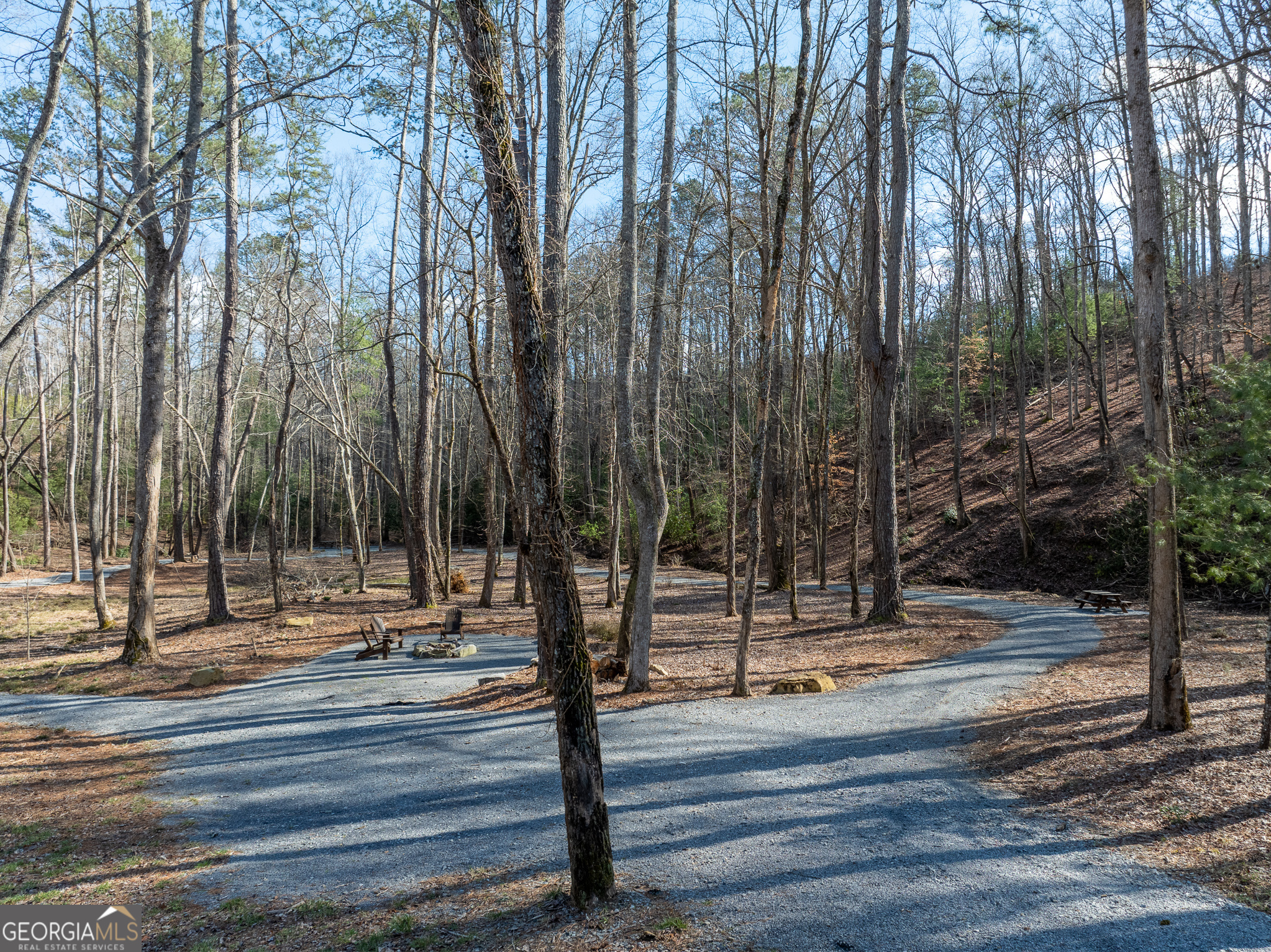 Lot 127 Red Hawk Lane Ellijay, GA 30540 - Photo 28 of 35 a view of a yard with palm trees