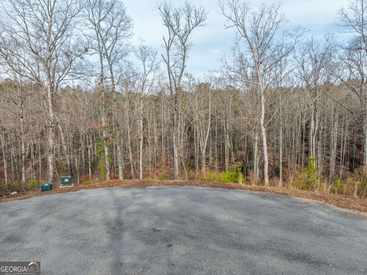 Lot 127 Red Hawk Lane Ellijay, GA 30540 - Photo 3 of 35 a view of outdoor space with trees