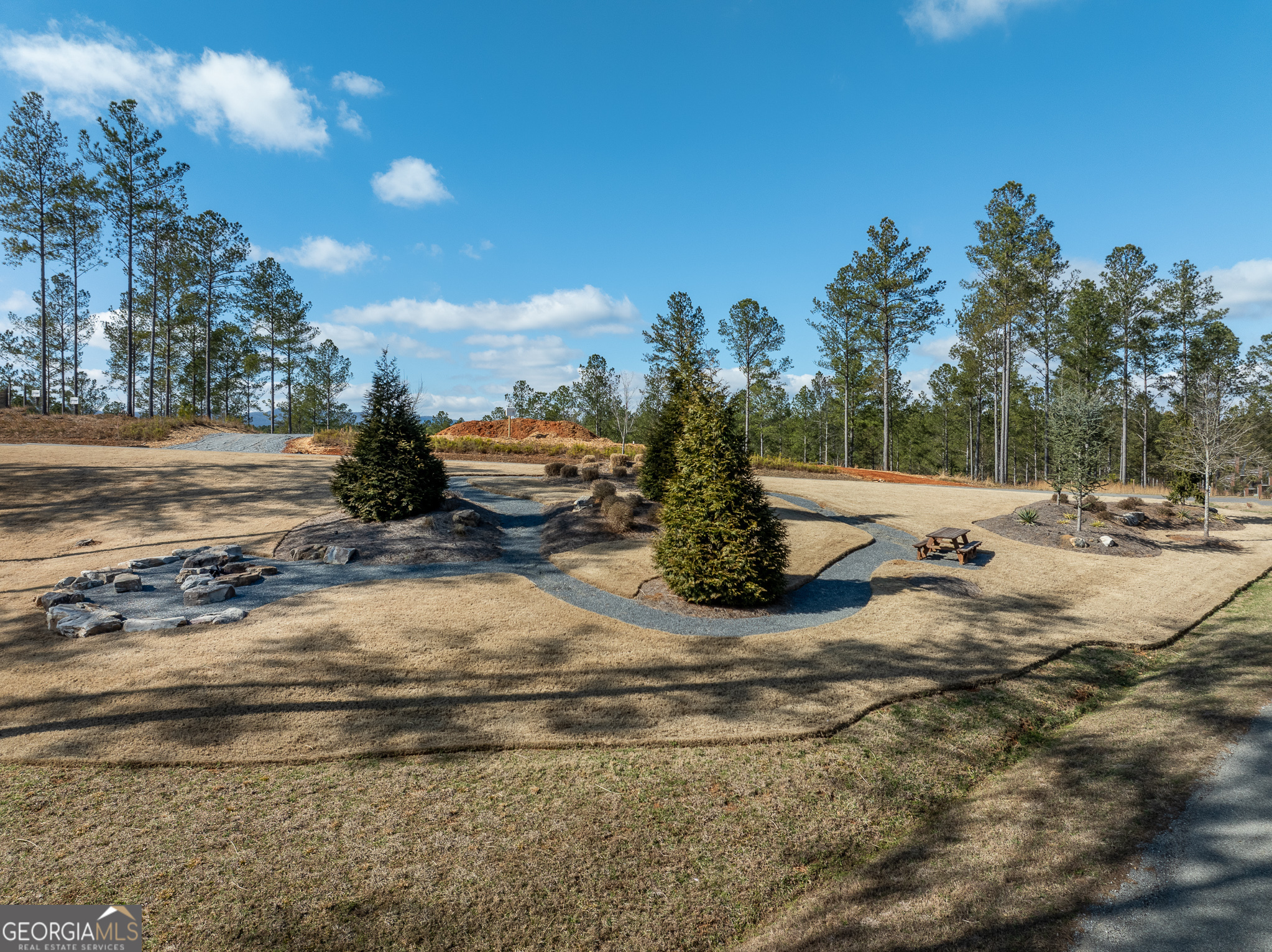 Lot 127 Red Hawk Lane Ellijay, GA 30540 - Photo 33 of 35 a view of a yard with a tree