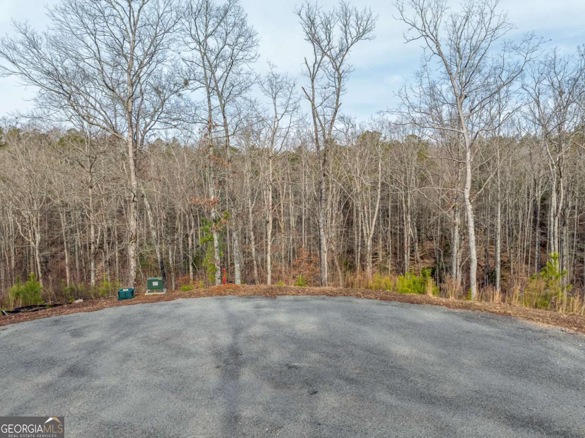 Lot 127 Red Hawk Lane Ellijay, GA 30540 - Photo 4 of 35 a view of outdoor space with trees