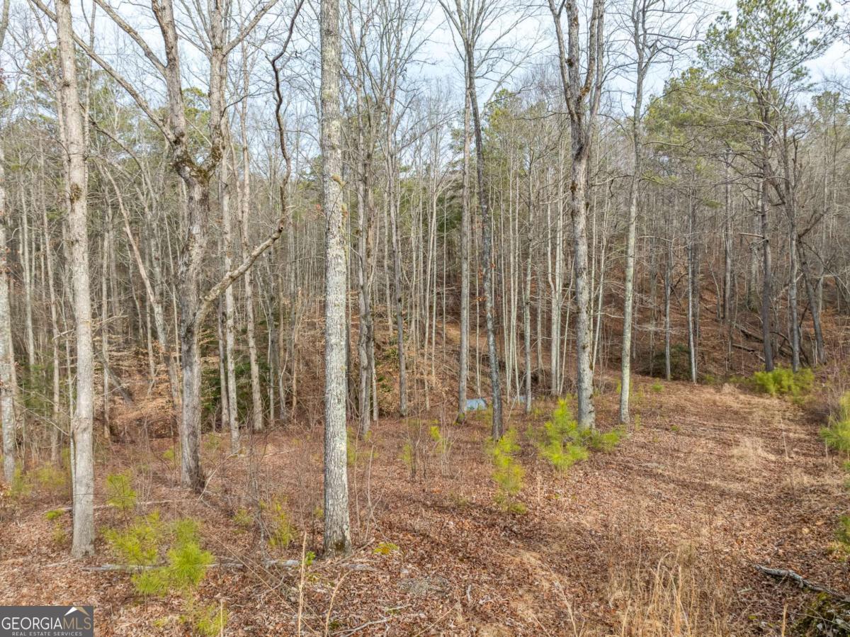 Lot 127 Red Hawk Lane Ellijay, GA 30540 - Photo 9 of 35 a view of outdoor space with garden