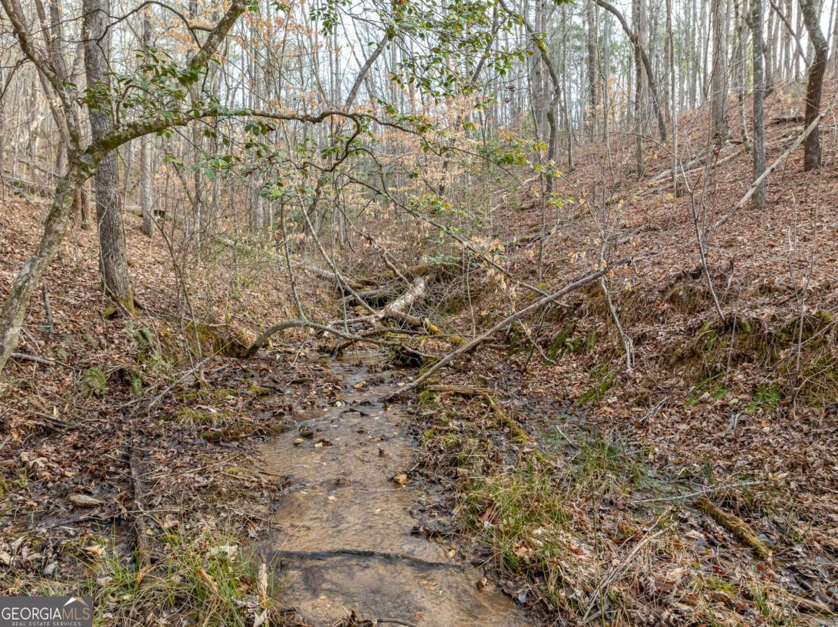 Lot 127 Red Hawk Lane Ellijay, GA 30540 - Photo 10 of 35 a view of a yard with a tree