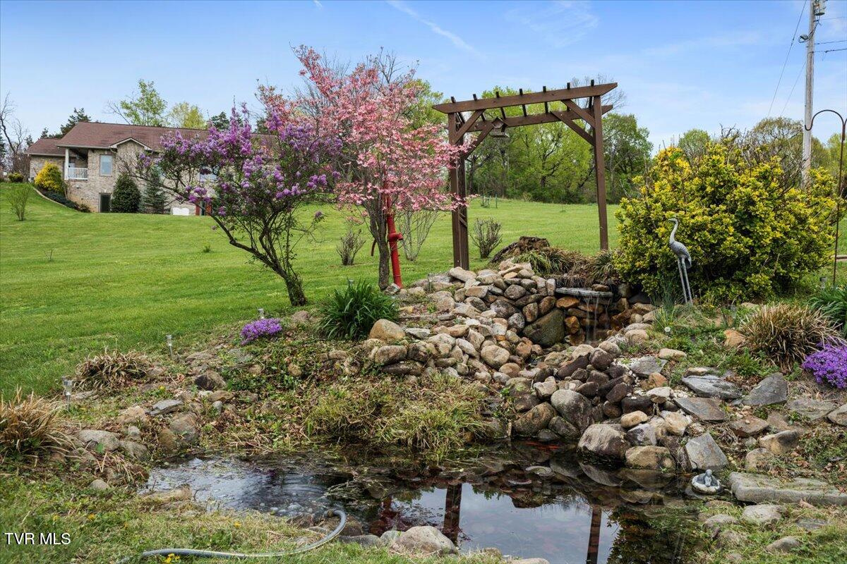 790 Watauga Road Watauga, TN 37694 - Photo 8 of 60 19-128A8984