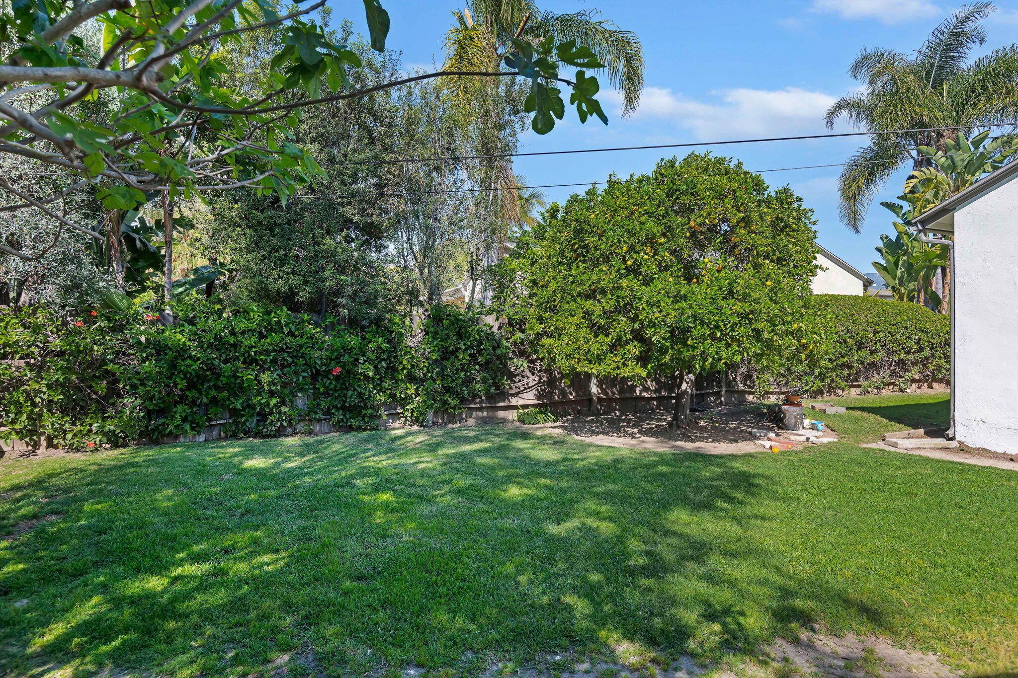 116 South Ontare Road Santa Barbara, CA 93105 - Photo 21 of 26 Rear yard (2)