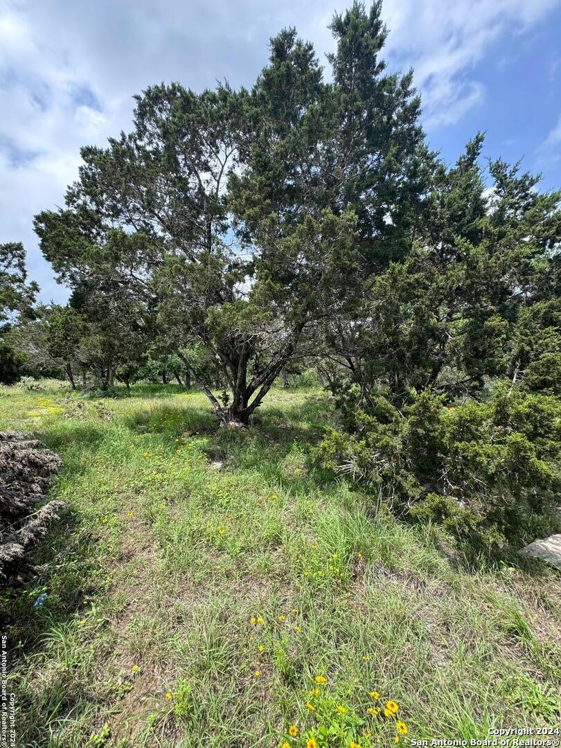 262 Wren Circle Spring Branch, TX 78070 - Photo 4 of 9 a view of a lush green space