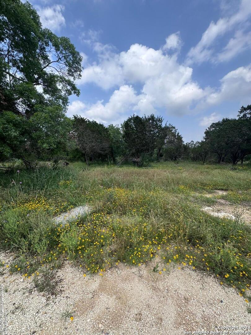 262 Wren Circle Spring Branch, TX 78070 - Photo 5 of 9 a view of a lake with houses in back