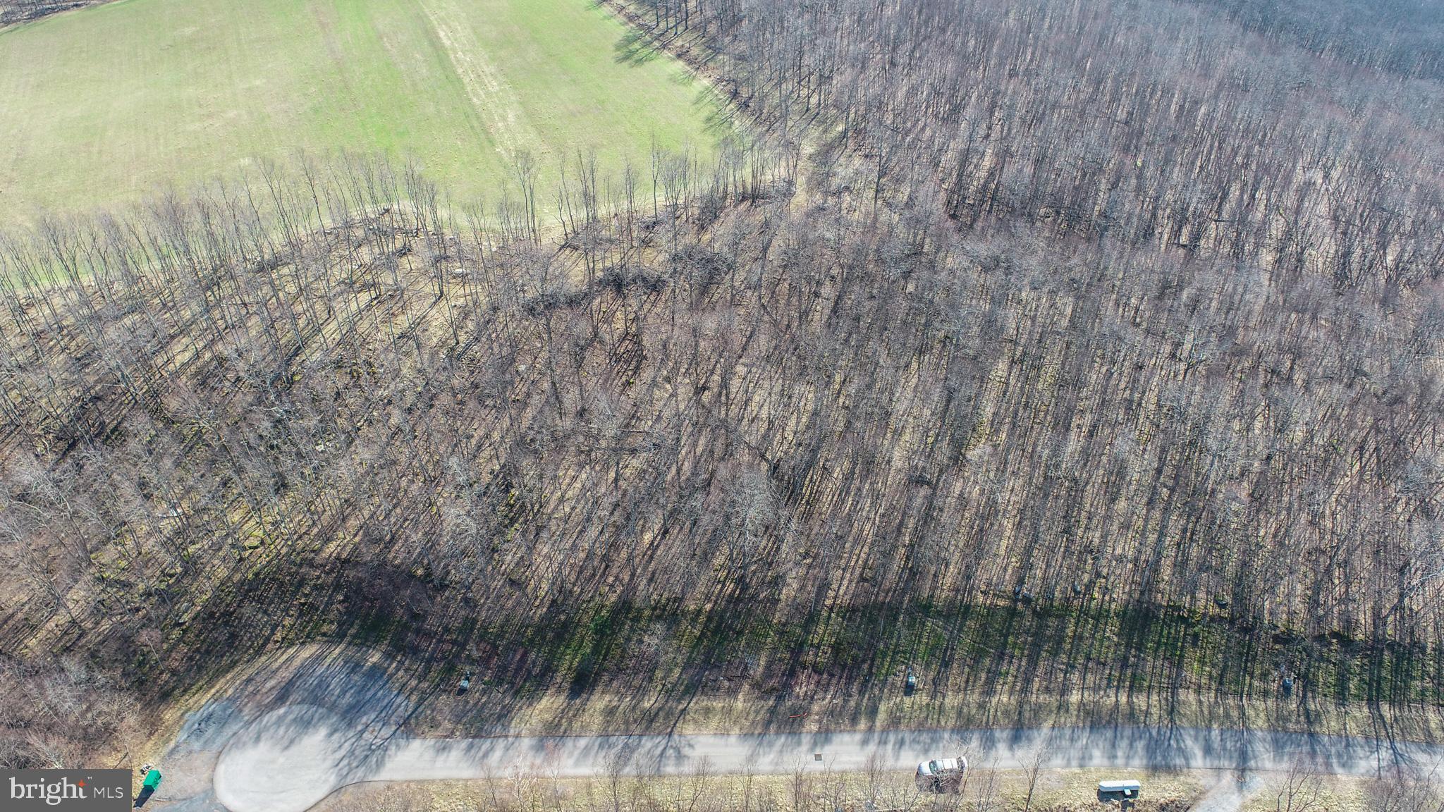 1 Sweet Rewards Farm Road McHenry, MD 21541 - Photo 6 of 20