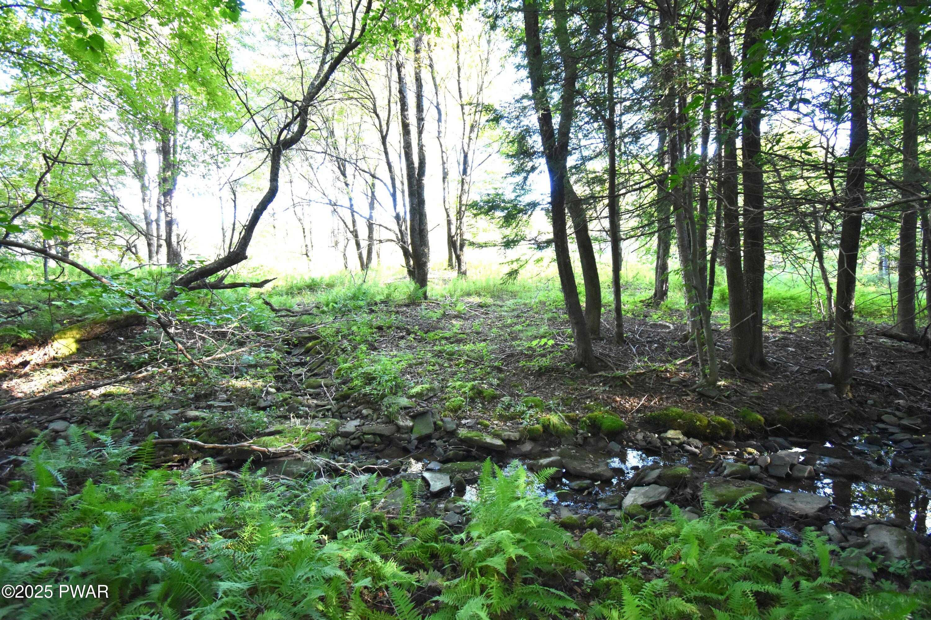 430 Flat Rock Road Forest City, PA 18421 - Photo 4 of 22