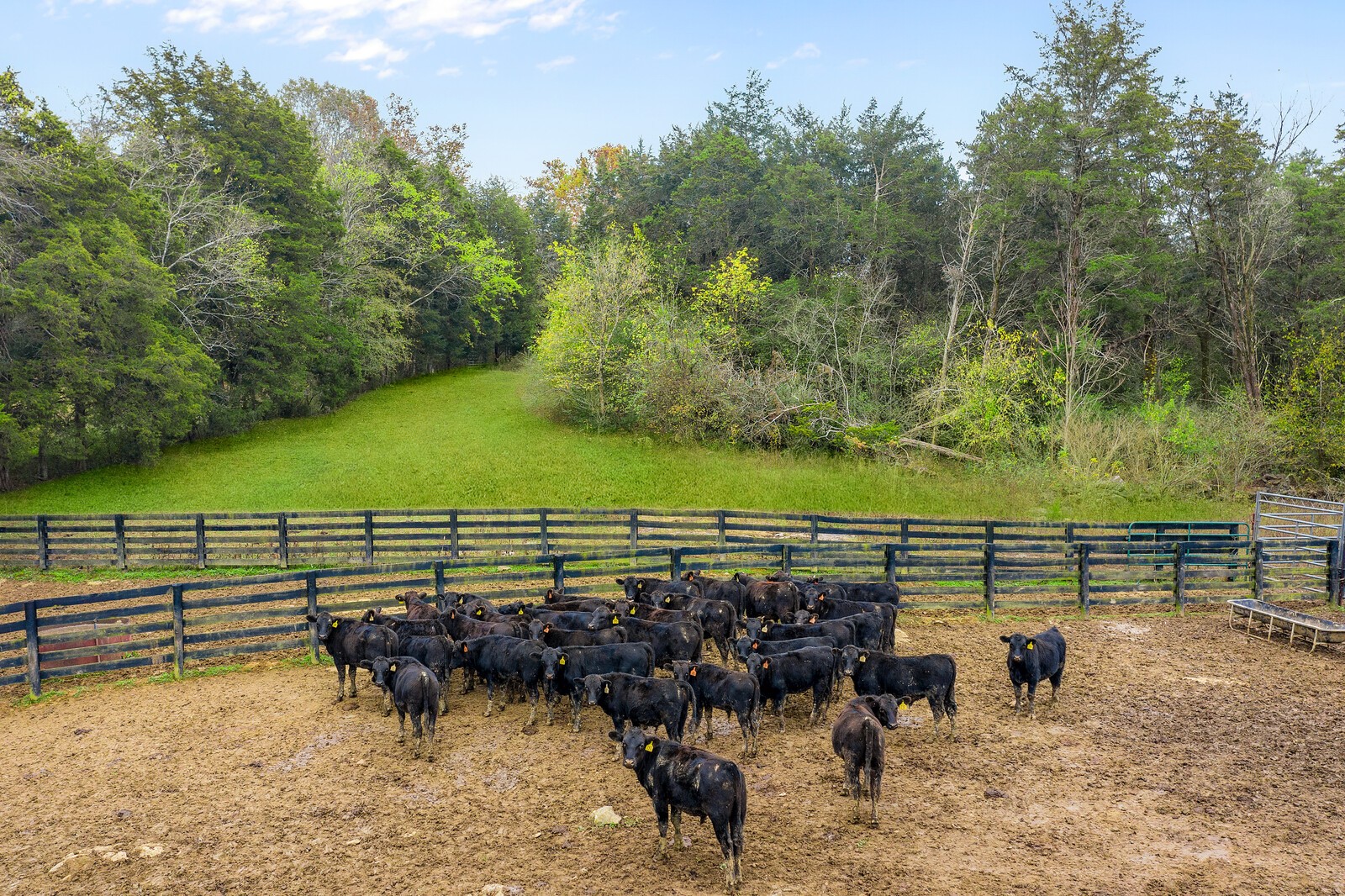 3350 Bailey Road Franklin, TN 37064 - Photo 22 of 37 a view of a chairs and table on the terrace