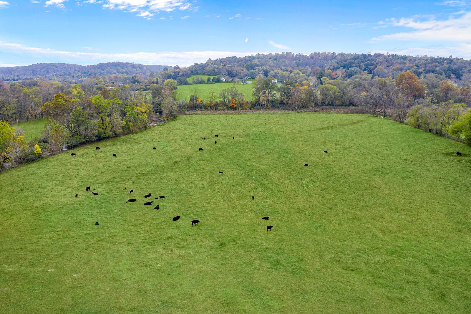 3350 Bailey Road Franklin, TN 37064 - Photo 25 of 37 a view of a lush green field