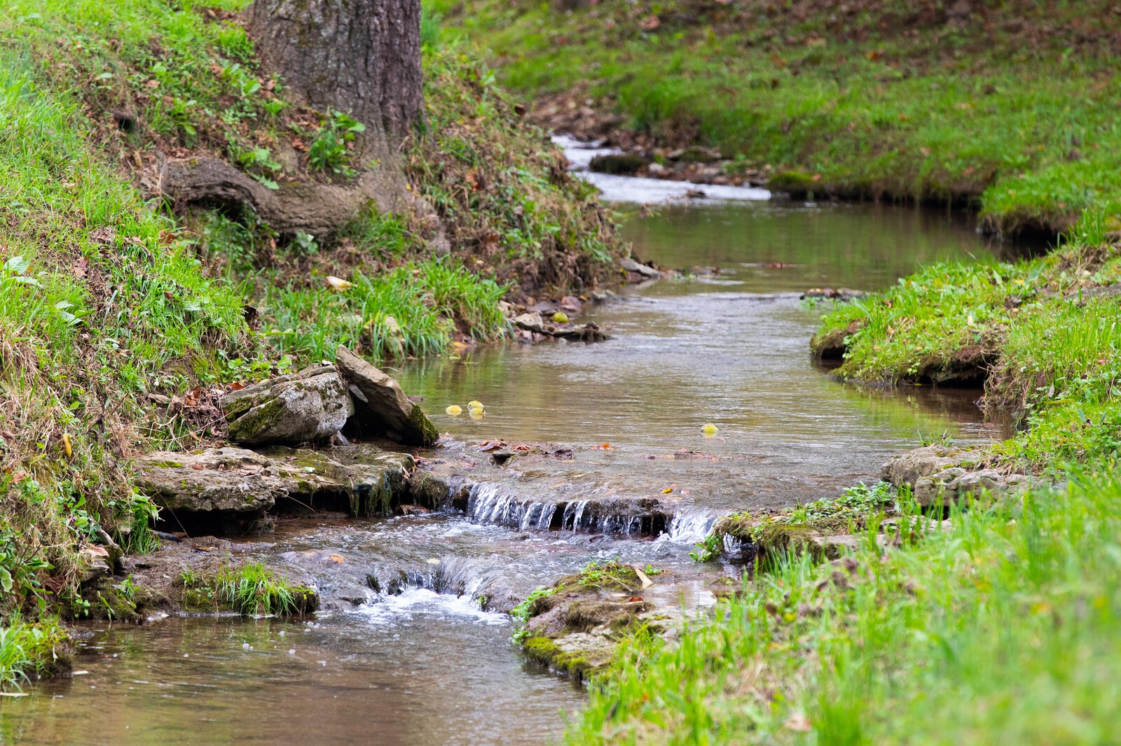 3350 Bailey Road Franklin, TN 37064 - Photo 4 of 37 a view of a lake with lawn chairs and large trees