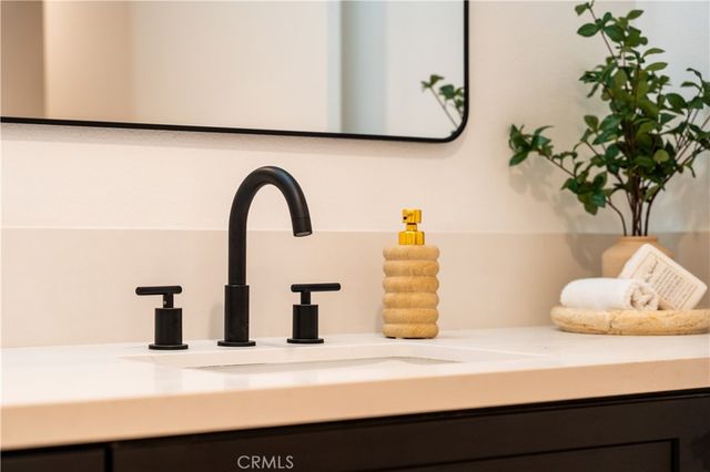 a close view of a sink and a potted plant on the counter