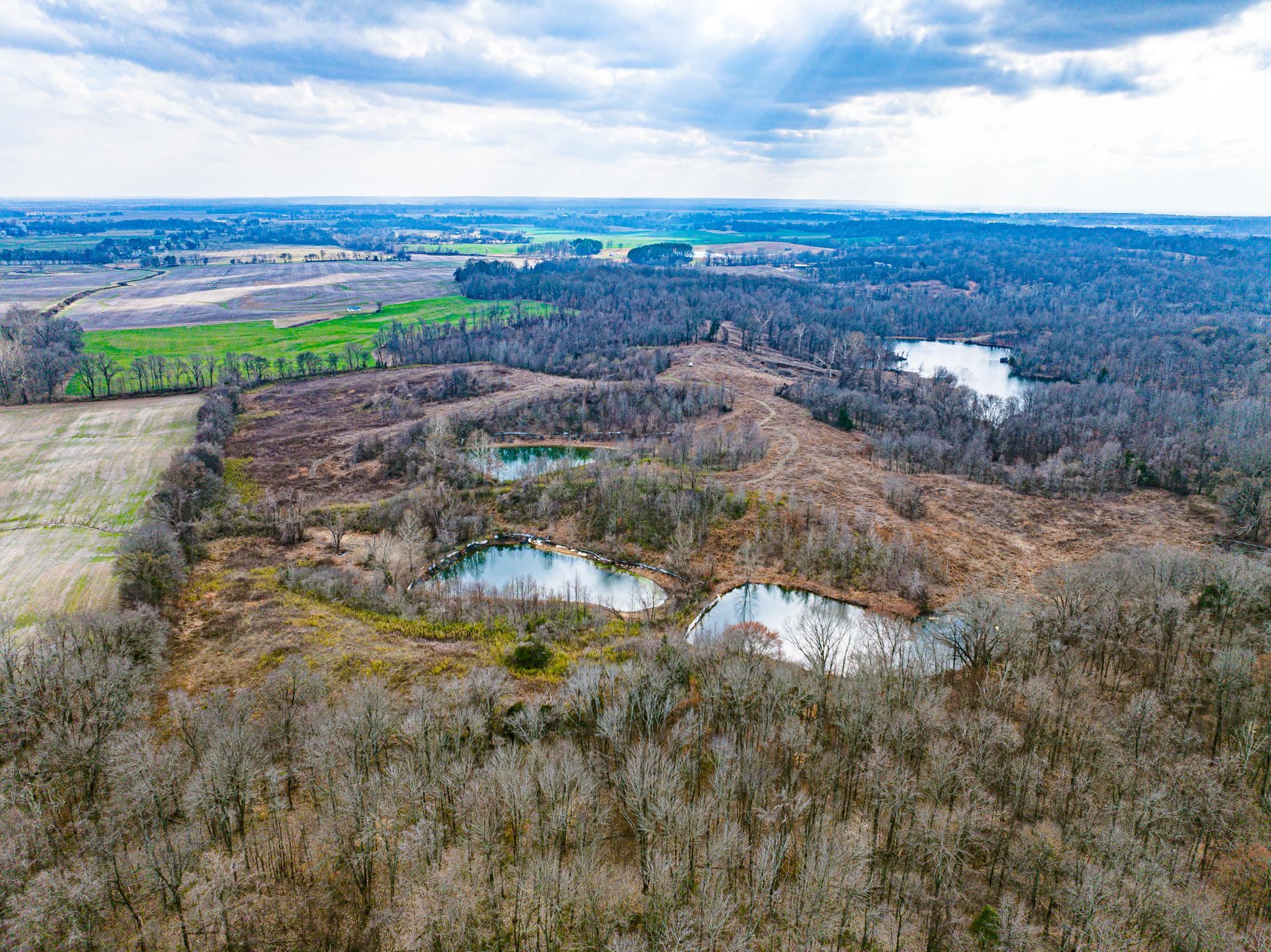 0 Minnick Elbridge Road Hornbeak, TN 38240 - Photo 1 of 31 Bird's eye view of a nearby body of water