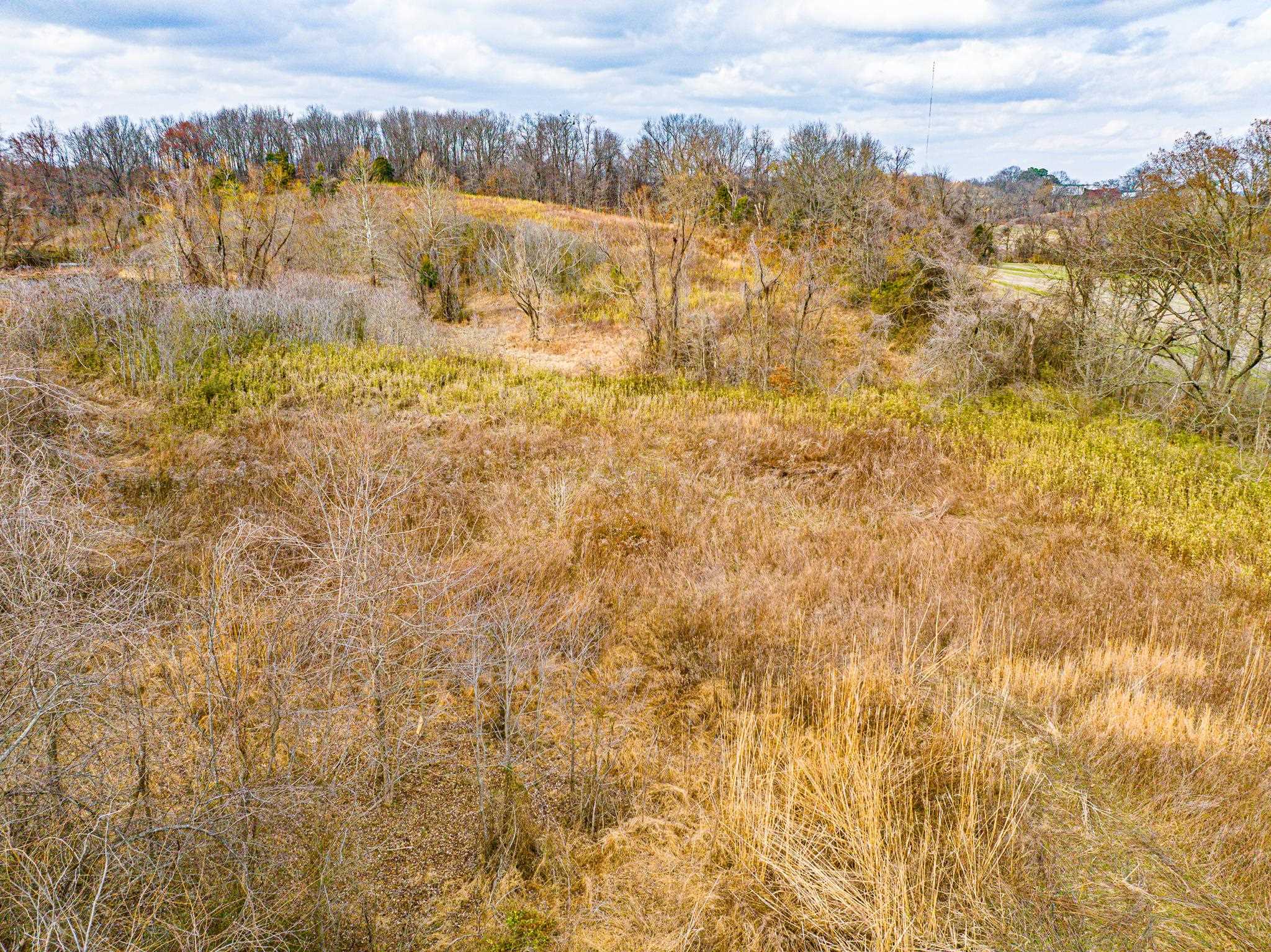 0 Minnick Elbridge Road Hornbeak, TN 38240 - Photo 11 of 31 View of undeveloped land