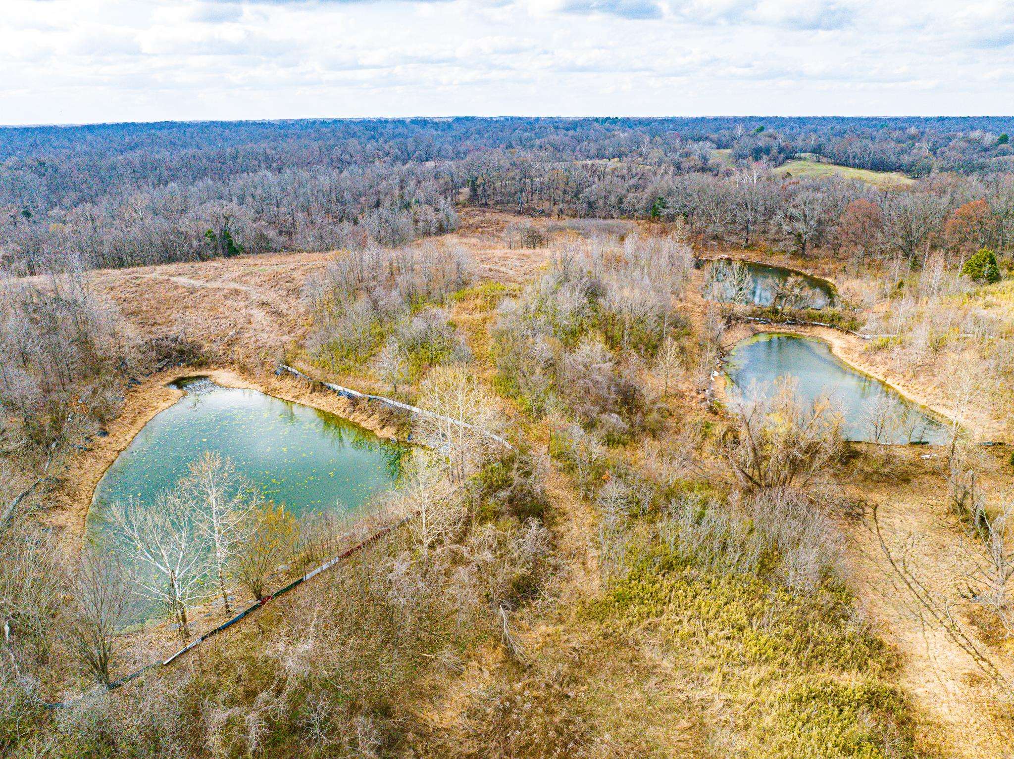 0 Minnick Elbridge Road Hornbeak, TN 38240 - Photo 12 of 31 Drone / aerial view of a nearby body of water and a forest