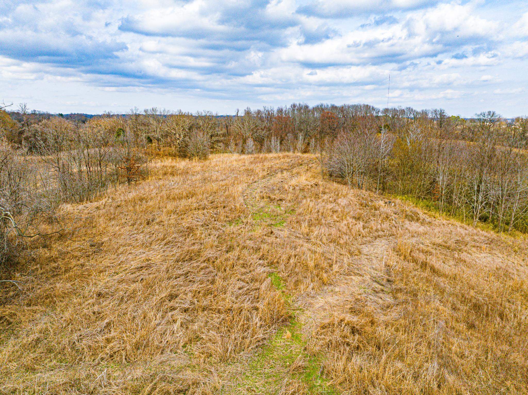 0 Minnick Elbridge Road Hornbeak, TN 38240 - Photo 13 of 31 View of local wilderness with rural landscape