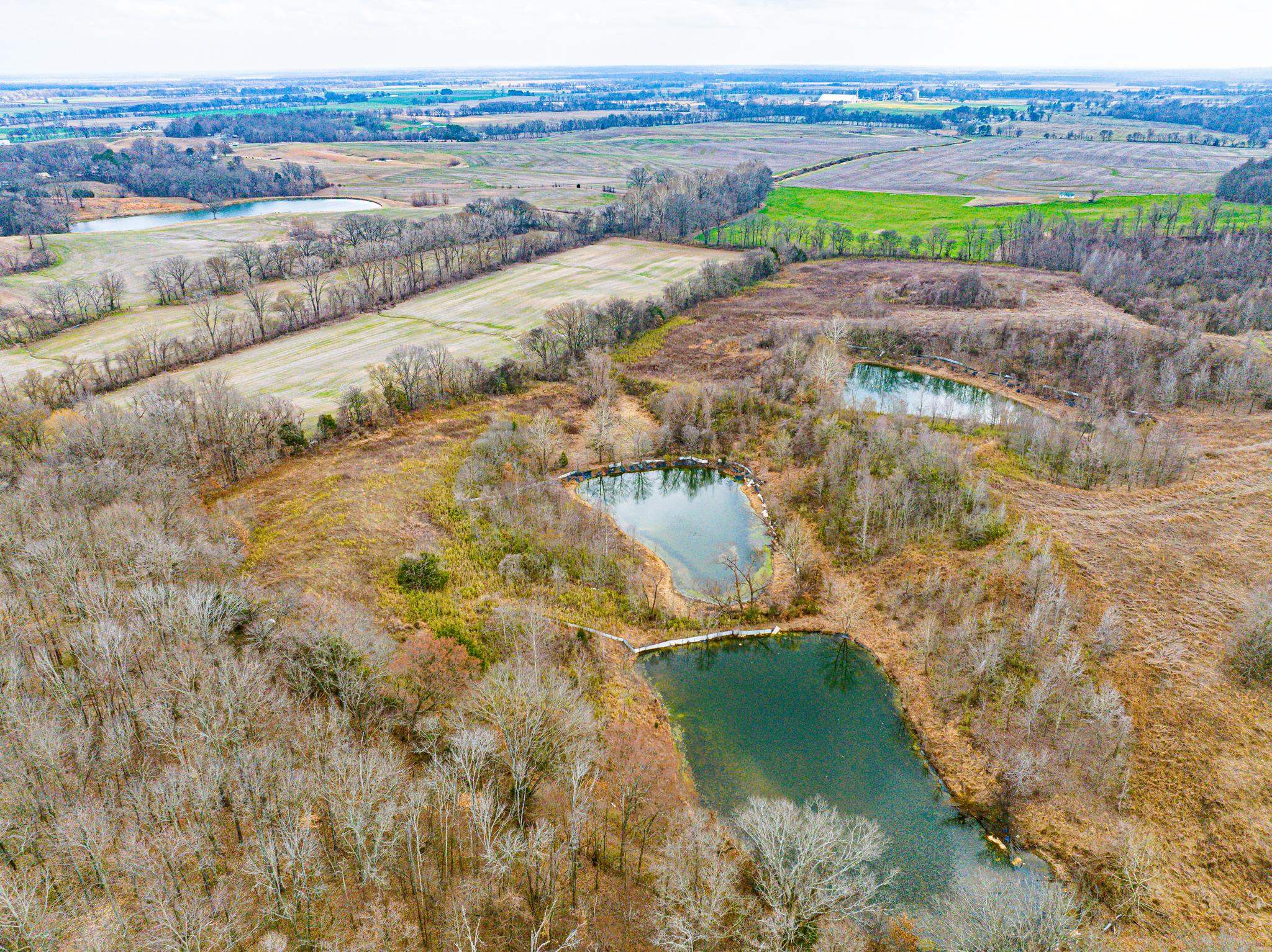 0 Minnick Elbridge Road Hornbeak, TN 38240 - Photo 16 of 31 View of rural area with a nearby body of water