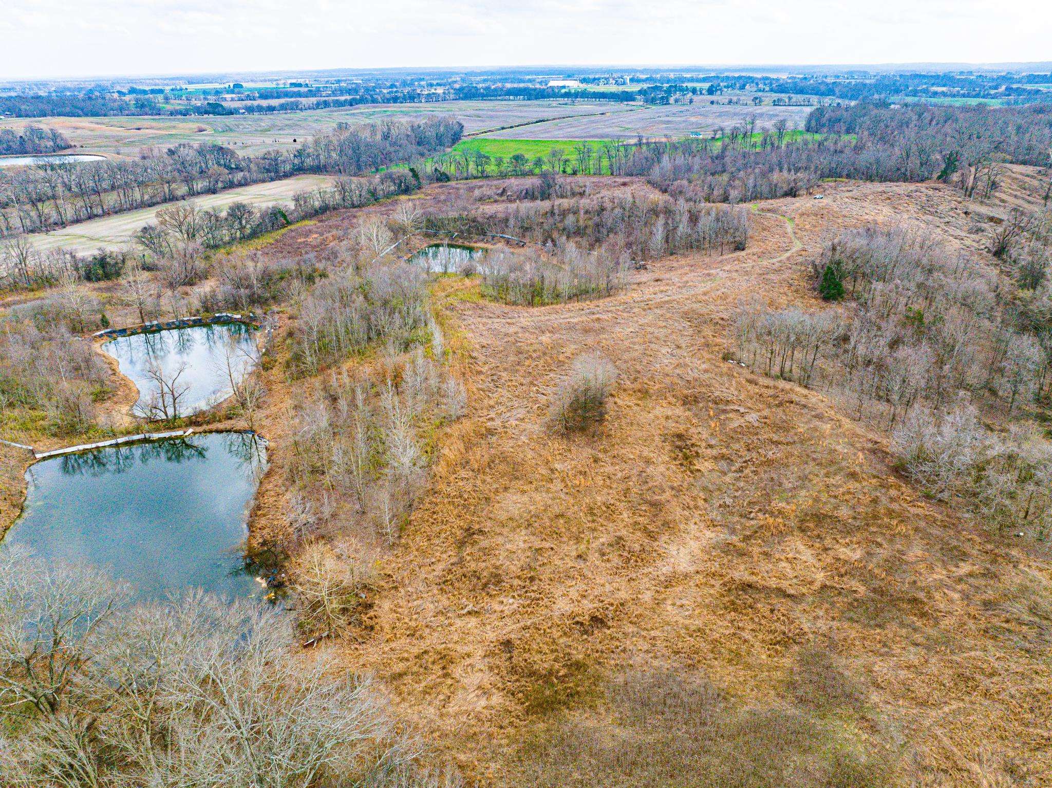 0 Minnick Elbridge Road Hornbeak, TN 38240 - Photo 18 of 31 Bird's eye view of a nearby body of water
