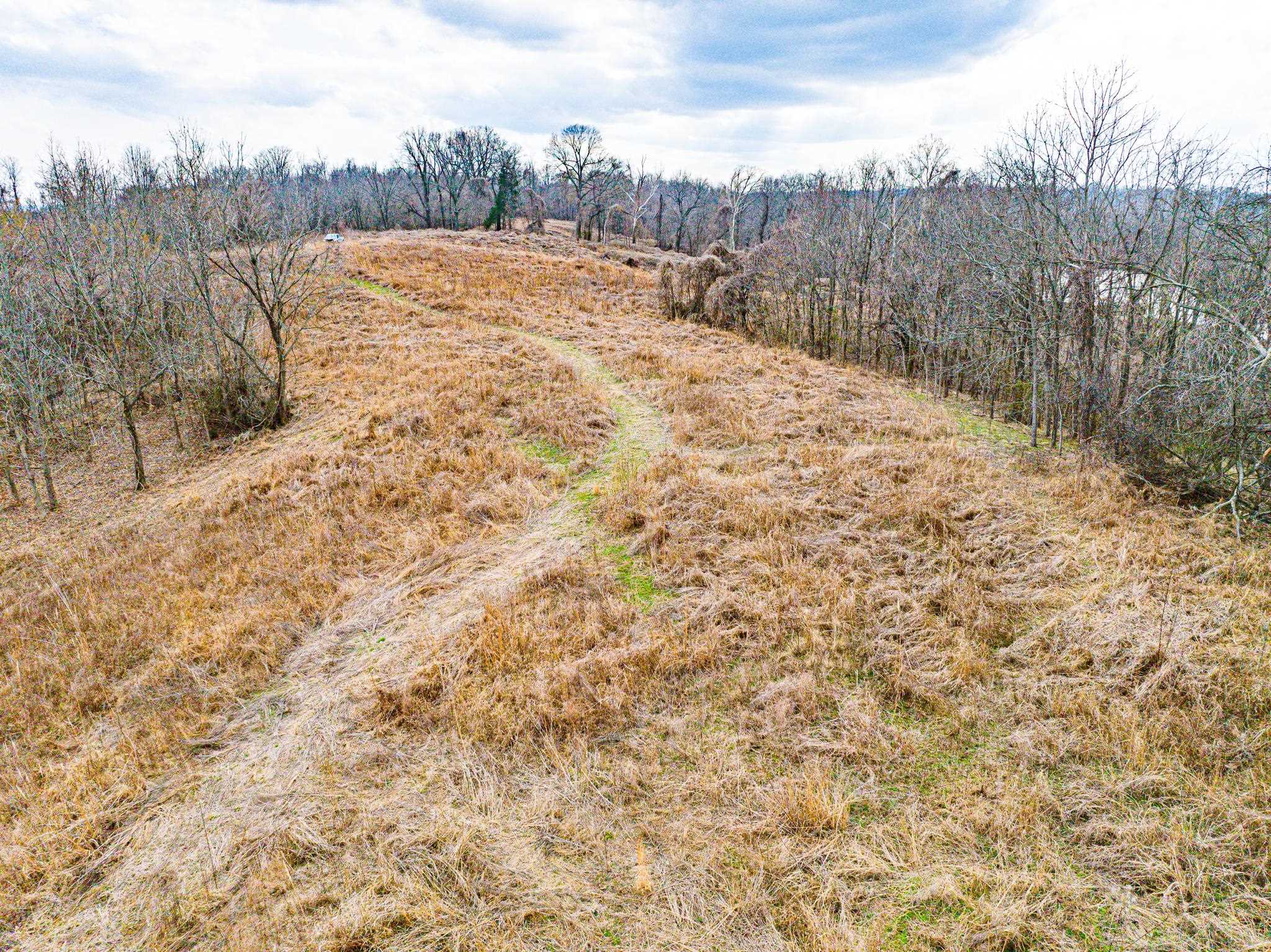 0 Minnick Elbridge Road Hornbeak, TN 38240 - Photo 20 of 31 View of local wilderness with rural landscape